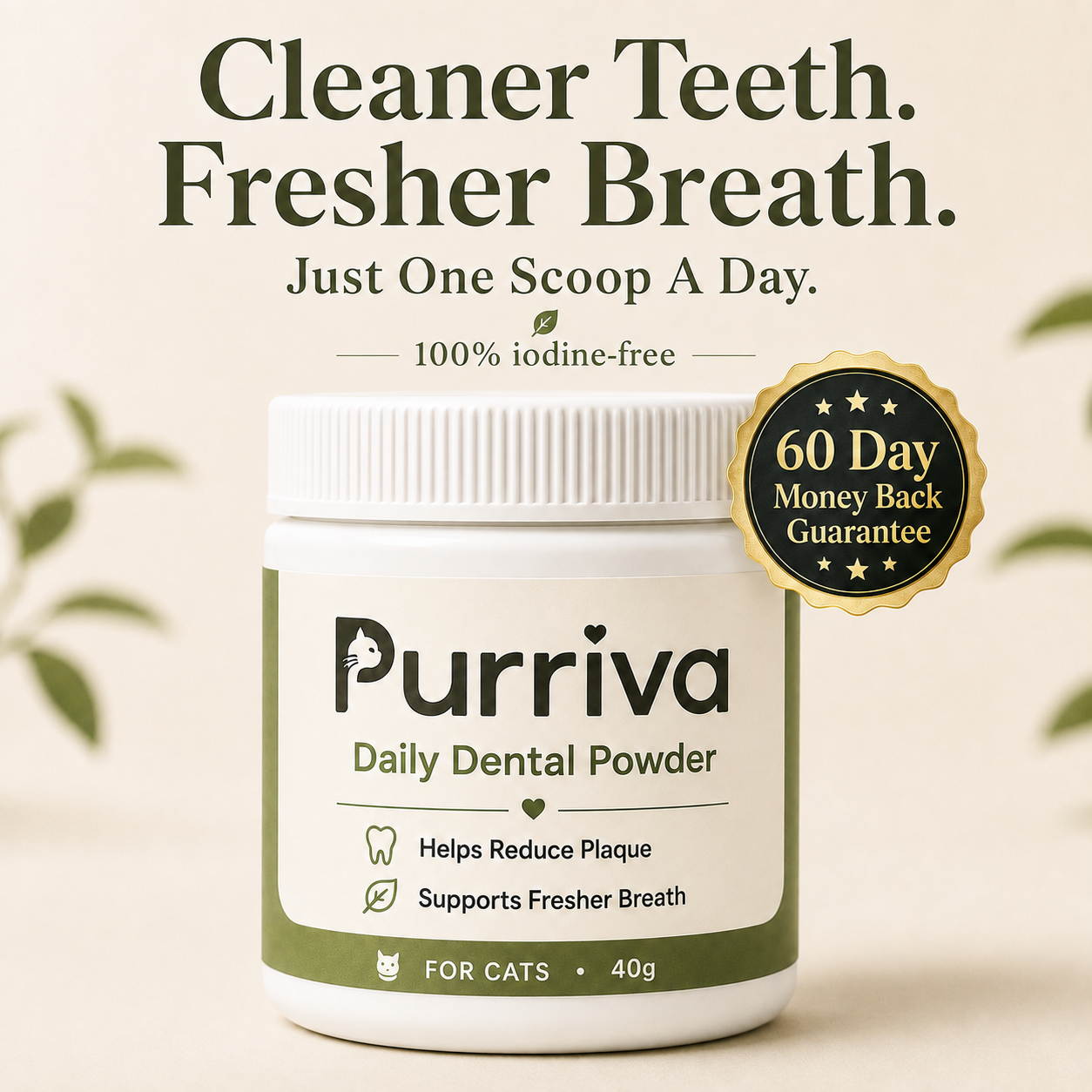Purriva Daily Scoop