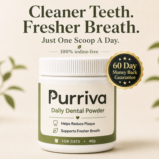Purriva Daily Scoop