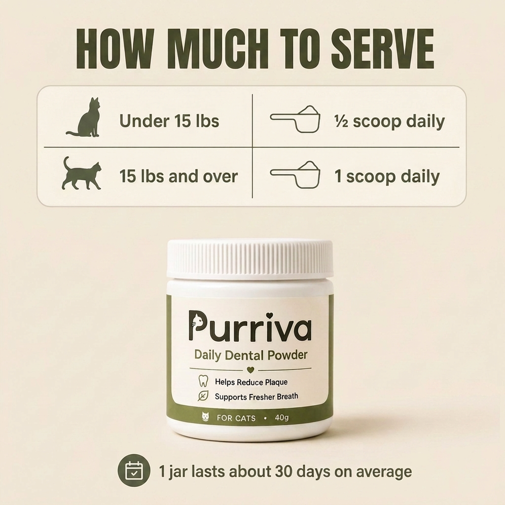 Purriva Daily Scoop