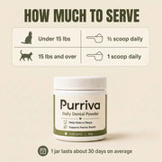 Purriva Daily Scoop