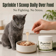 Purriva Daily Scoop