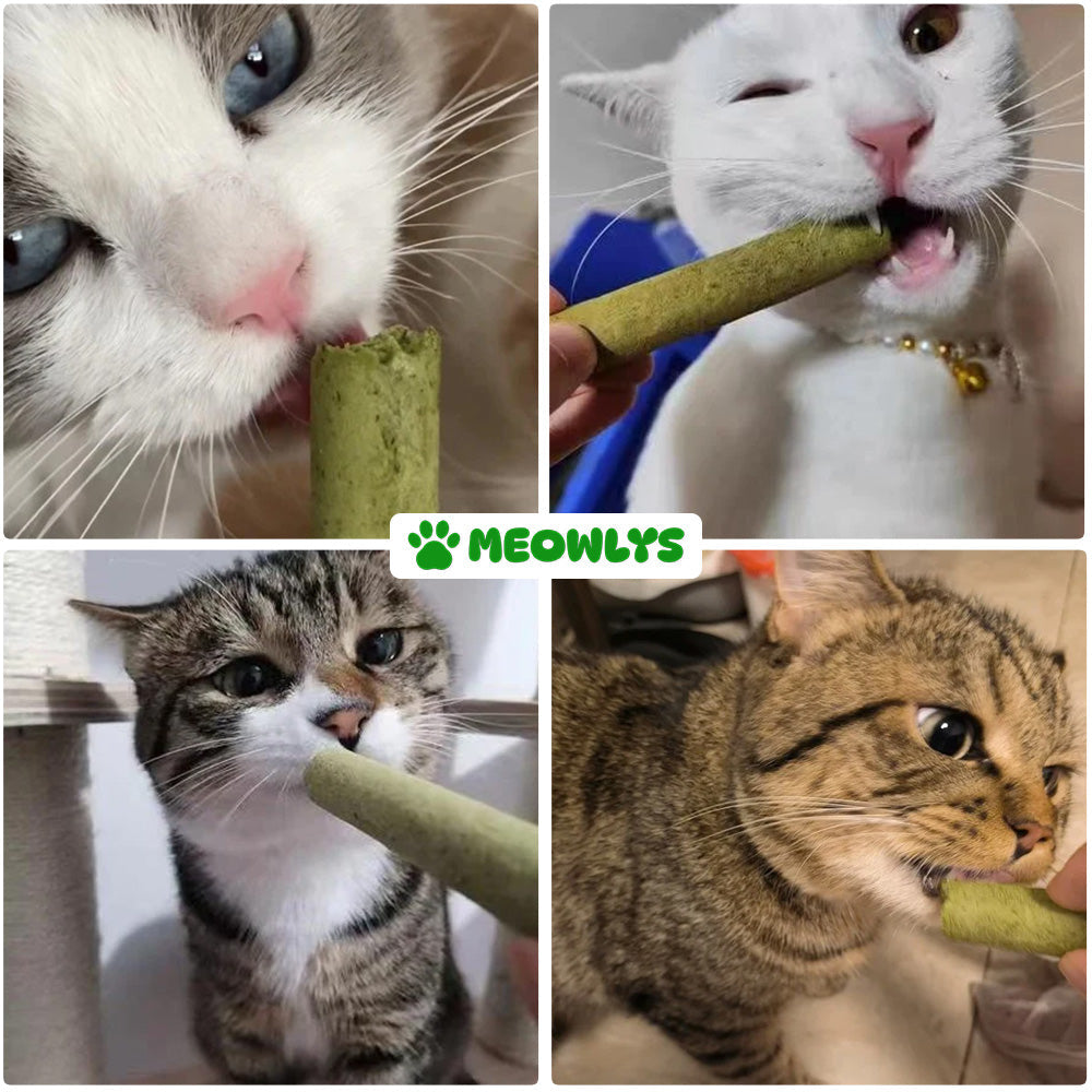 Cat Grass Teething Sticks