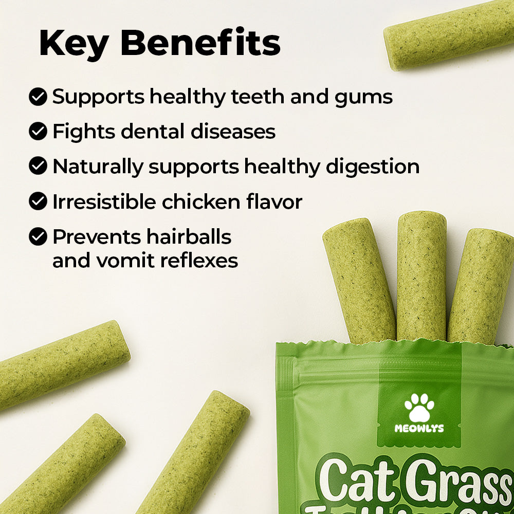 Cat Grass Teething Sticks